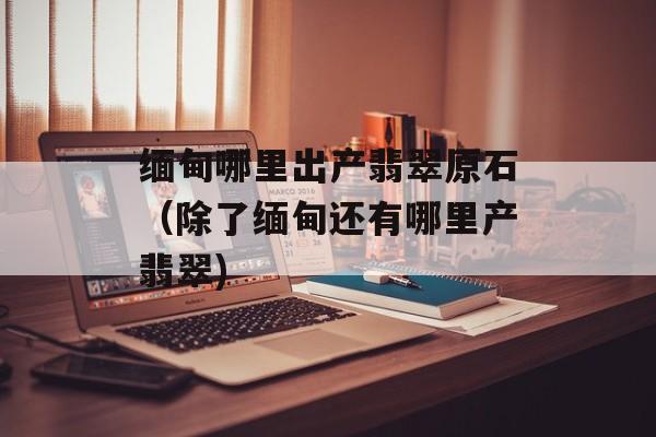 缅甸哪里出产翡翠原石（除了缅甸还有哪里产翡翠)