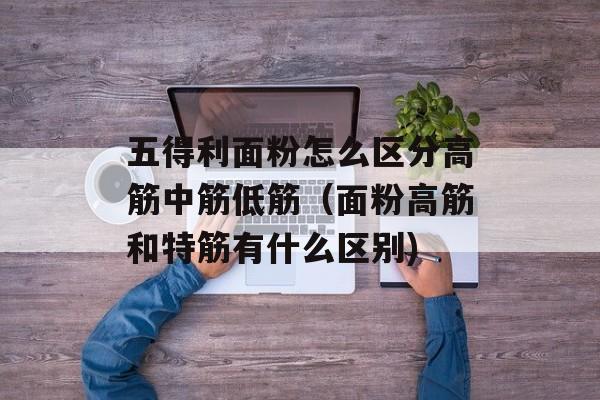 五得利面粉怎么区分高筋中筋低筋（面粉高筋和特筋有什么区别)