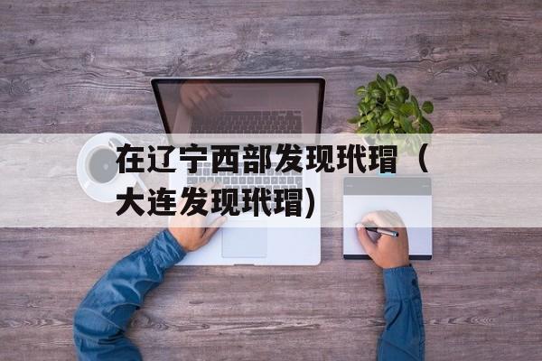 在辽宁西部发现玳瑁（大连发现玳瑁)