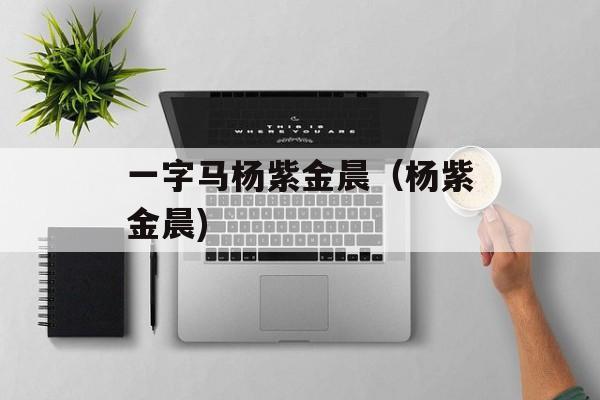 一字马杨紫金晨（杨紫金晨)