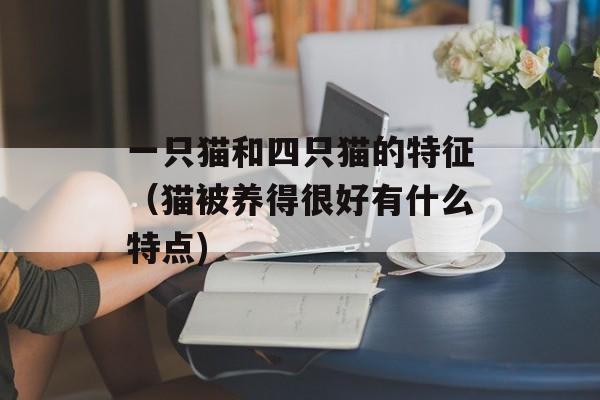 一只猫和四只猫的特征（猫被养得很好有什么特点)