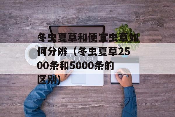 冬虫夏草和便宜虫草如何分辨（冬虫夏草2500条和5000条的区别)