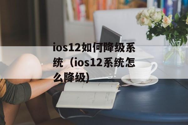 ios12如何降级系统（ios12系统怎么降级)