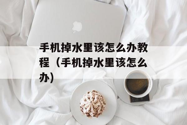 手机掉水里该怎么办教程（手机掉水里该怎么办)