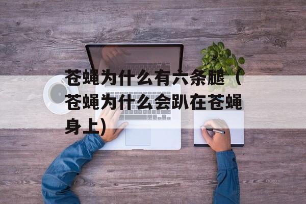 苍蝇为什么有六条腿（苍蝇为什么会趴在苍蝇身上)
