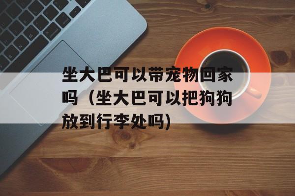坐大巴可以带宠物回家吗（坐大巴可以把狗狗放到行李处吗)