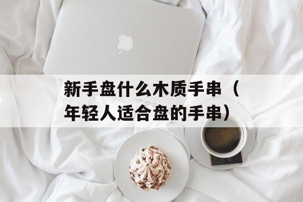 新手盘什么木质手串（年轻人适合盘的手串）