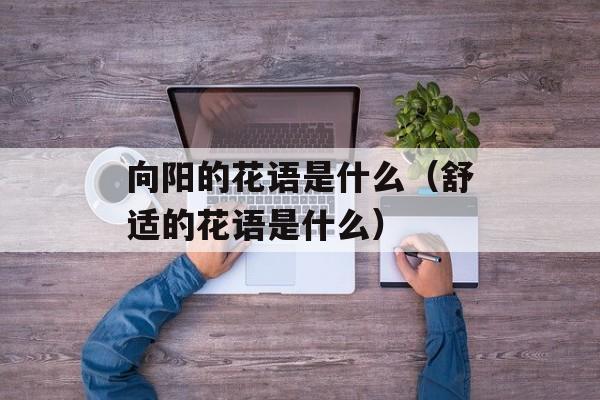 向阳的花语是什么（舒适的花语是什么）