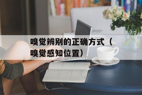 嗅觉辨别的正确方式（嗅觉感知位置）