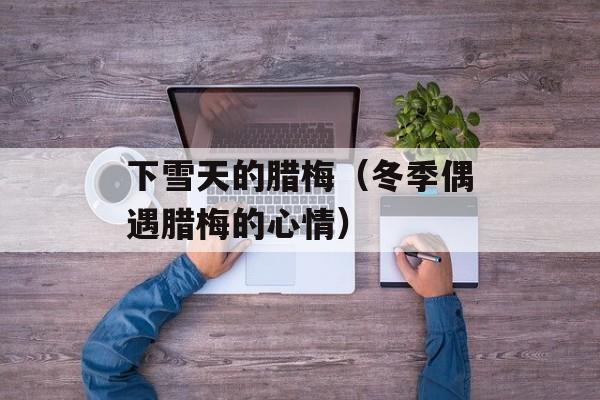 下雪天的腊梅（冬季偶遇腊梅的心情）
