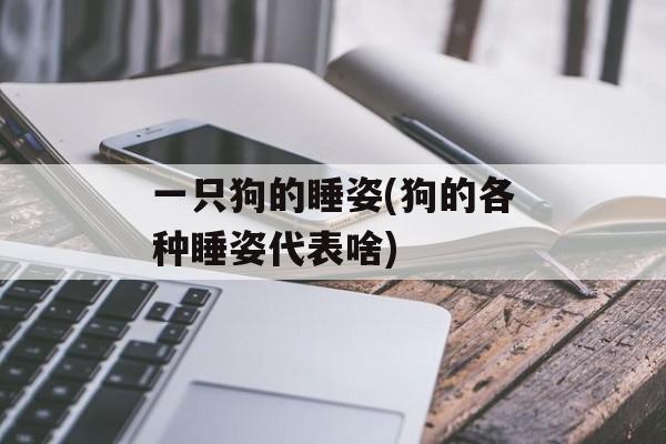 一只狗的睡姿(狗的各种睡姿代表啥)