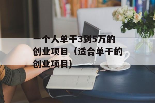 一个人单干3到5万的创业项目（适合单干的创业项目)