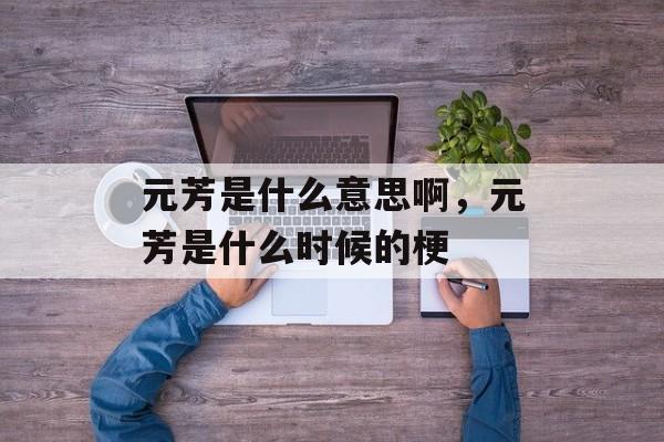 元芳是什么意思啊，元芳是什么时候的梗