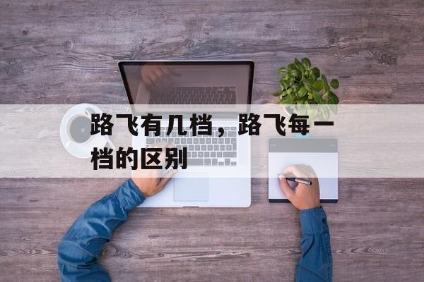 路飞有几档，路飞每一档的区别