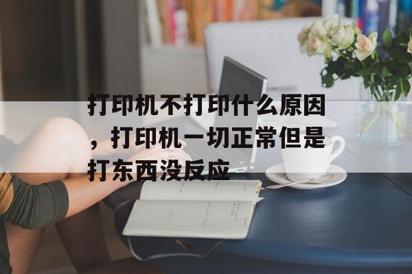 打印机不打印什么原因，打印机一切正常但是打东西没反应