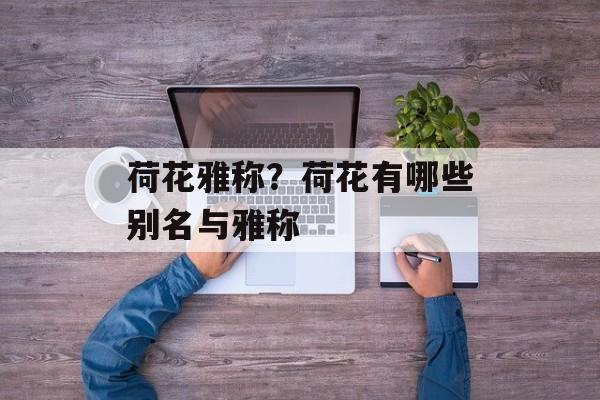 荷花雅称？荷花有哪些别名与雅称
