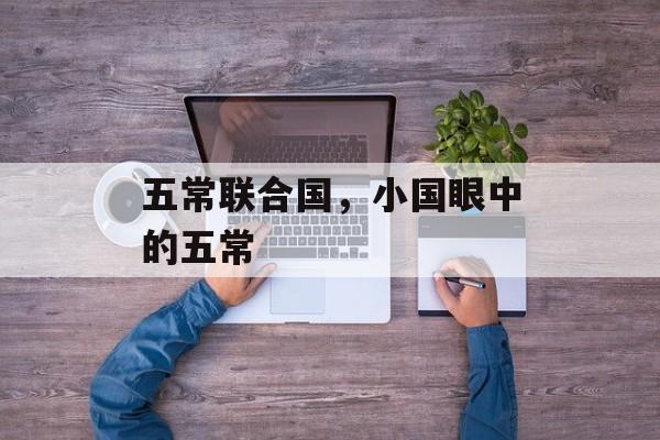 五常联合国，小国眼中的五常