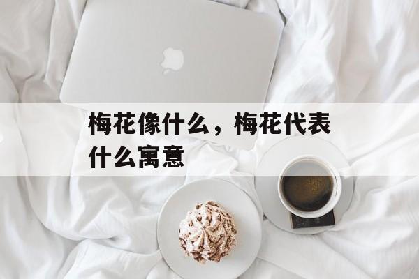 梅花像什么，梅花代表什么寓意