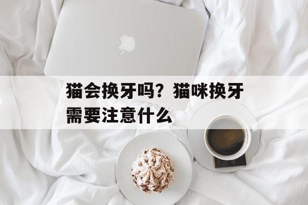 猫会换牙吗？猫咪换牙需要注意什么