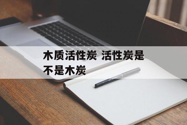 木质活性炭 活性炭是不是木炭