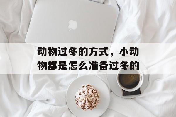 动物过冬的方式，小动物都是怎么准备过冬的