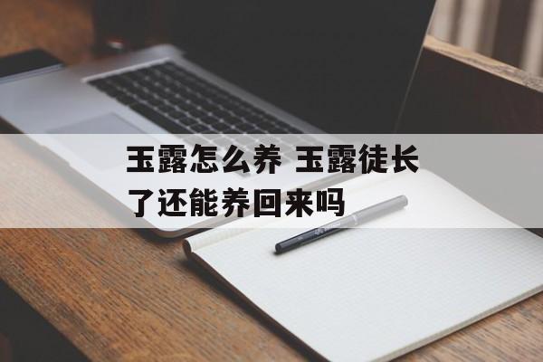 玉露怎么养 玉露徒长了还能养回来吗