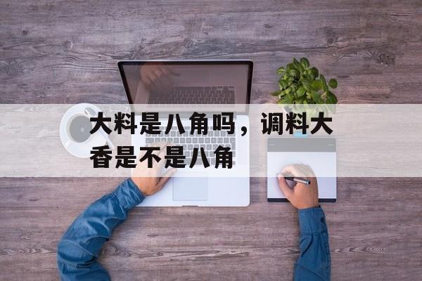 大料是八角吗，调料大香是不是八角