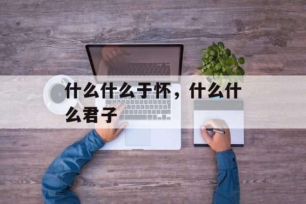 什么什么于怀，什么什么君子