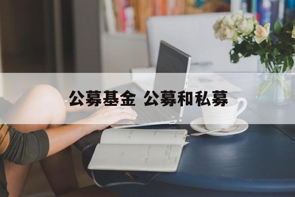 公募基金 公募和私募