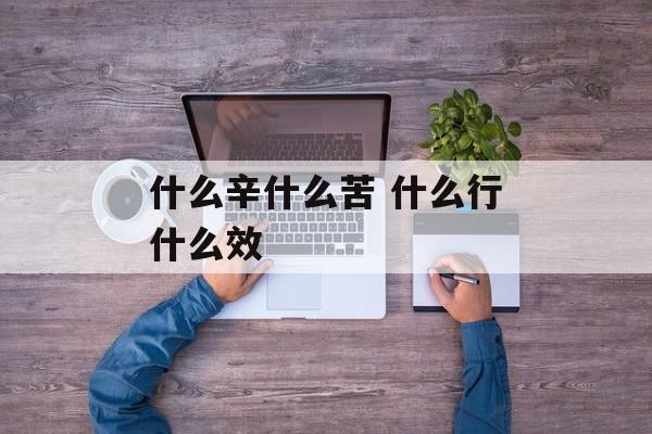 什么辛什么苦 什么行什么效