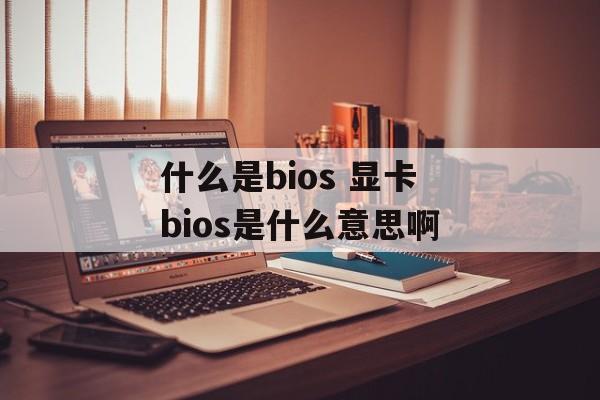 什么是bios 显卡bios是什么意思啊