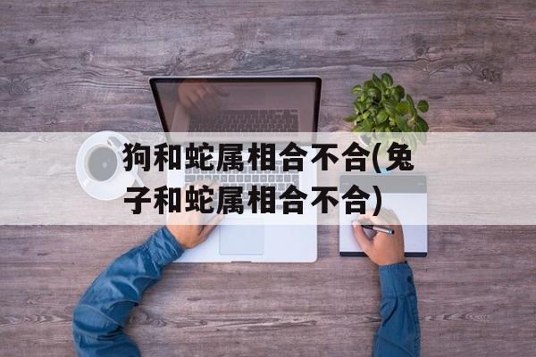 狗和蛇属相合不合(兔子和蛇属相合不合)