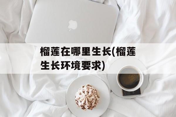 榴莲在哪里生长(榴莲生长环境要求)