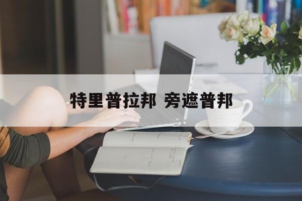 特里普拉邦 旁遮普邦