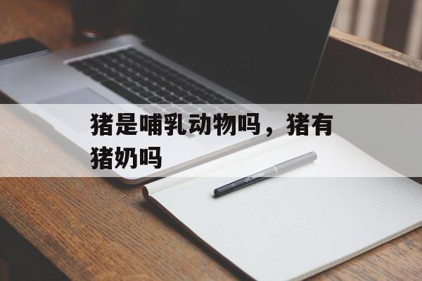 猪是哺乳动物吗，猪有猪奶吗