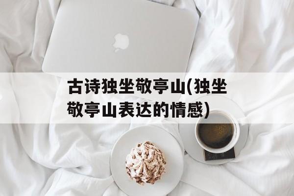 古诗独坐敬亭山(独坐敬亭山表达的情感)