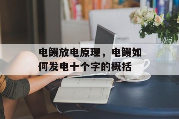 电鳗放电原理，电鳗如何发电十个字的概括