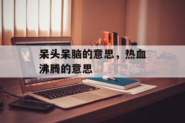 呆头呆脑的意思，热血沸腾的意思