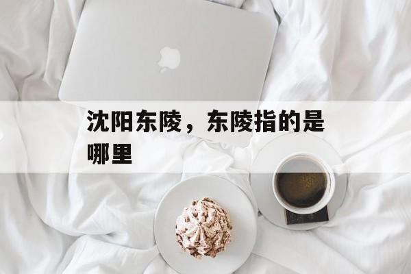沈阳东陵，东陵指的是哪里