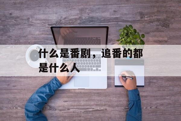 什么是番剧，追番的都是什么人