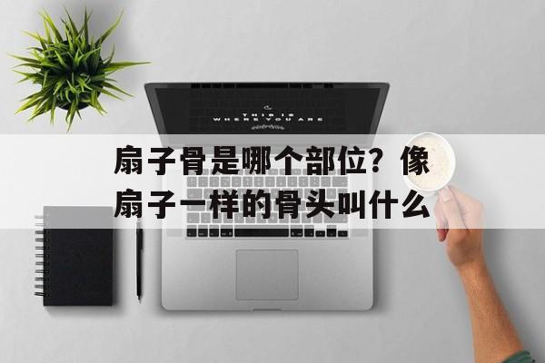 扇子骨是哪个部位？像扇子一样的骨头叫什么