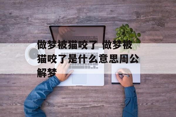 做梦被猫咬了 做梦被猫咬了是什么意思周公解梦