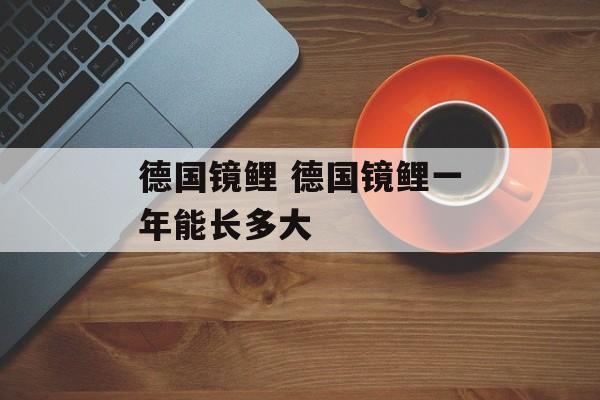 德国镜鲤 德国镜鲤一年能长多大
