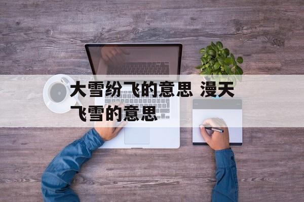 大雪纷飞的意思 漫天飞雪的意思