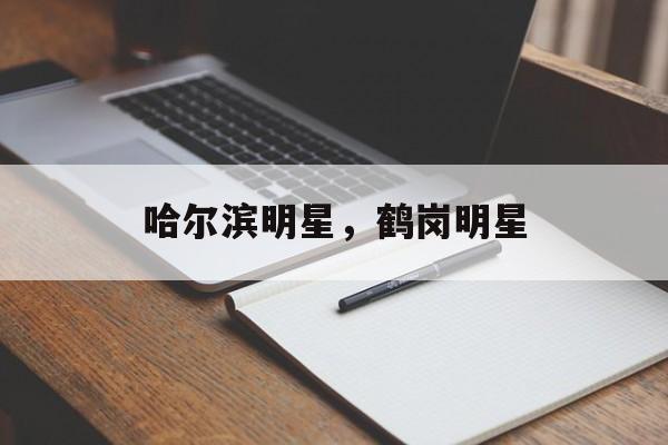 哈尔滨明星，鹤岗明星