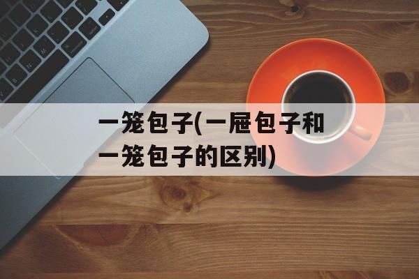 一笼包子(一屉包子和一笼包子的区别)