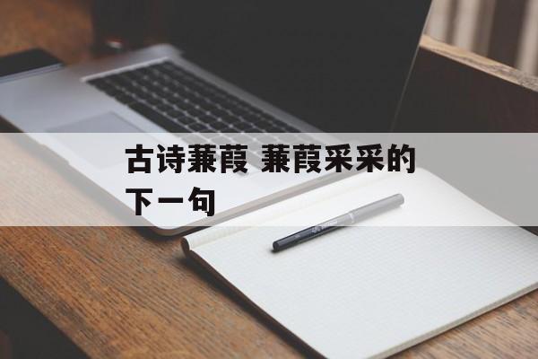 古诗蒹葭 蒹葭采采的下一句