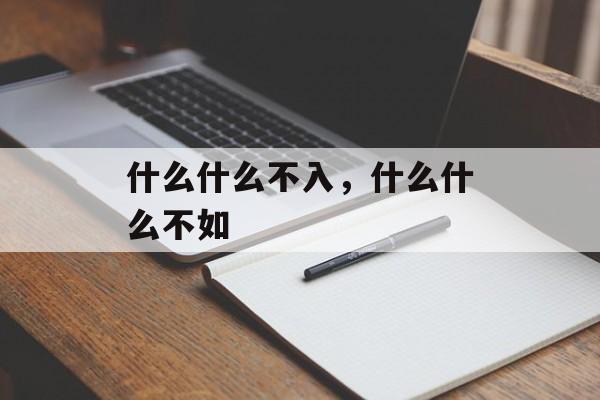 什么什么不入，什么什么不如