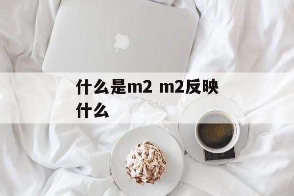 什么是m2 m2反映什么