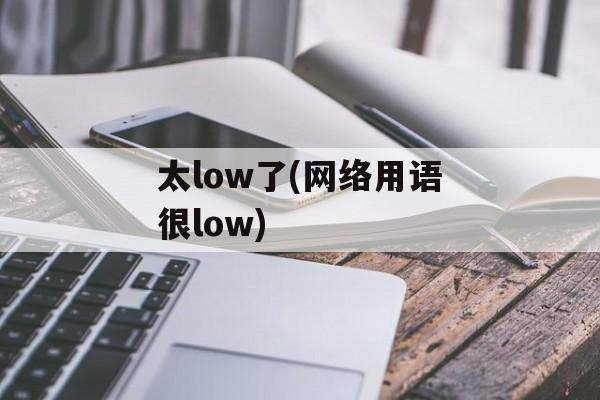 太low了(网络用语很low)